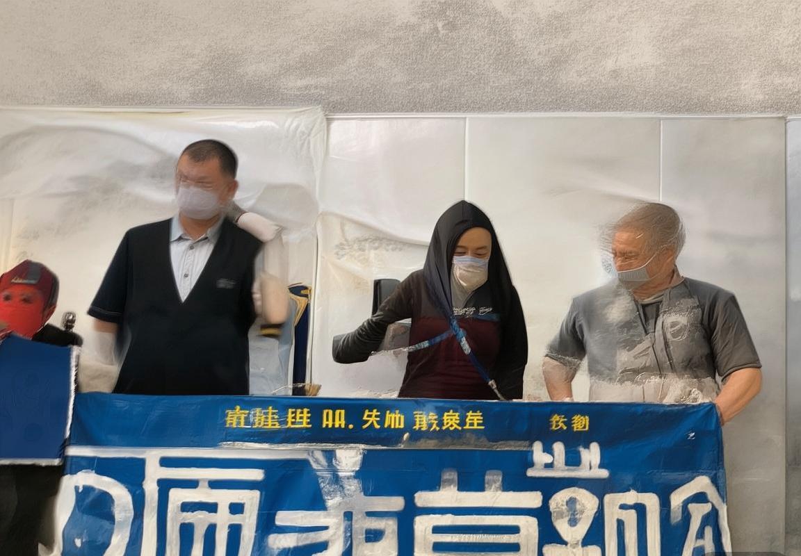 法国荷兰巅峰对决：全程回顾与精彩瞬间分析(图2)