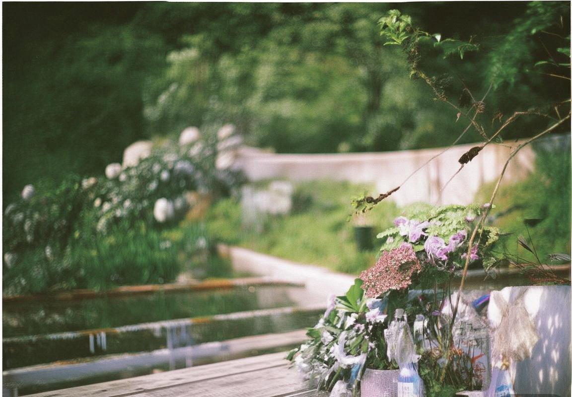 佛罗伦萨VS拜仁慕尼黑：激战正酣，谁将问鼎巅峰？(图2)