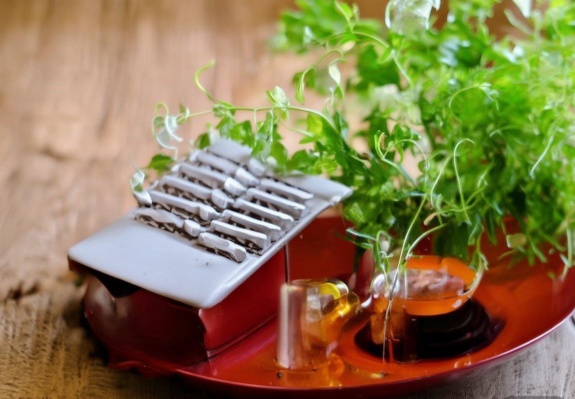 弗拉霍维奇领航尤文复兴之路：奋斗历程与未来展望(图2)